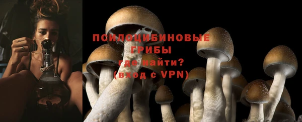 герыч Медногорск