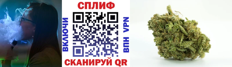 Конопля Amnesia Гаврилов Посад